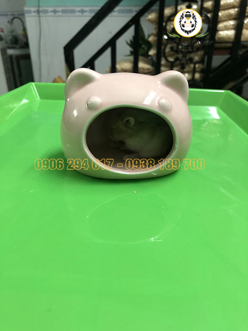 NHA NGỦ HÌNH MÈO